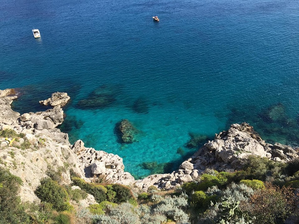 Ambiente, tutela del mare e degli animali: l’impegno di Capri Vera